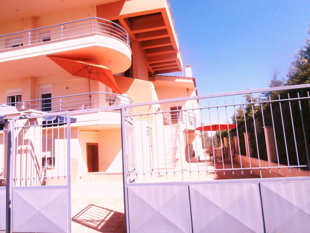 Dimitrios Apartments Sotirítsa Dış mekan fotoğraf